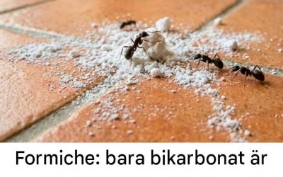 Observera: natriumbikarbonat ensamt är värdelöst; endast en specifik produkt kan fungera annorlunda.