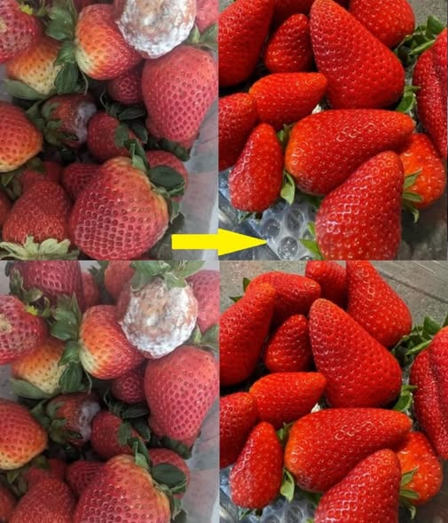 Hur man håller jordgubbar🍓 färska längre – Slut på mosighet!