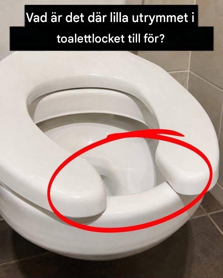 Vad är det där lilla utrymmet i toalettlocket till för? 🤔👀
