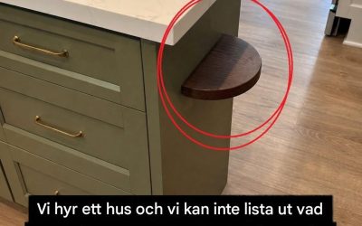 Mysteriet med den lilla hyllan: vad är det verkliga syftet med denna lilla köksöhylla (och hur man uppskattar den)