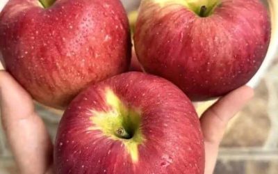Läkare säger att ett äpple varje kväll kan orsaka…