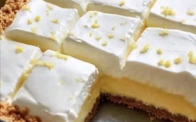 Sökresultat för: Citronkrämdessert utan bakning