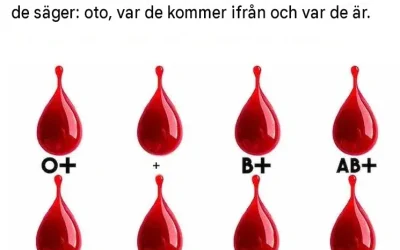 Två grupper av människor vet var Tobie vill vara, men jag vet inte vad jag ska göra.
