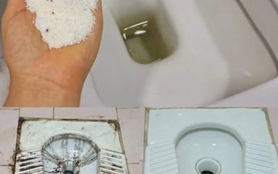 Toalettrengöring: Sedan jag upptäckte den här metoden är de alltid vita och skinande! Jag använder inte längre kemikalier!