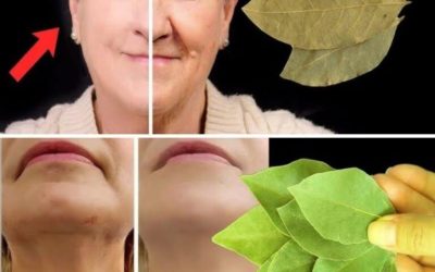 139 Laurel är 100 000 gånger kraftfullare än Botox. Det eliminerar alla rynkor även vid 70. Fortsätt läsa nedan i den första kommentaren. 👇