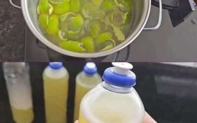 Koka bara CITRONSAL med SALT så slipper du köpa det hemma längre… Se mer