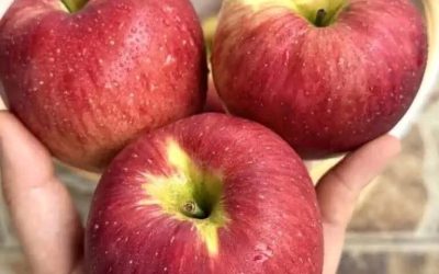 Läkare avslöjar att ett äpple varje kväll orsakar…