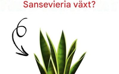 10 fördelar med en spole som kommer att förvåna dig!
