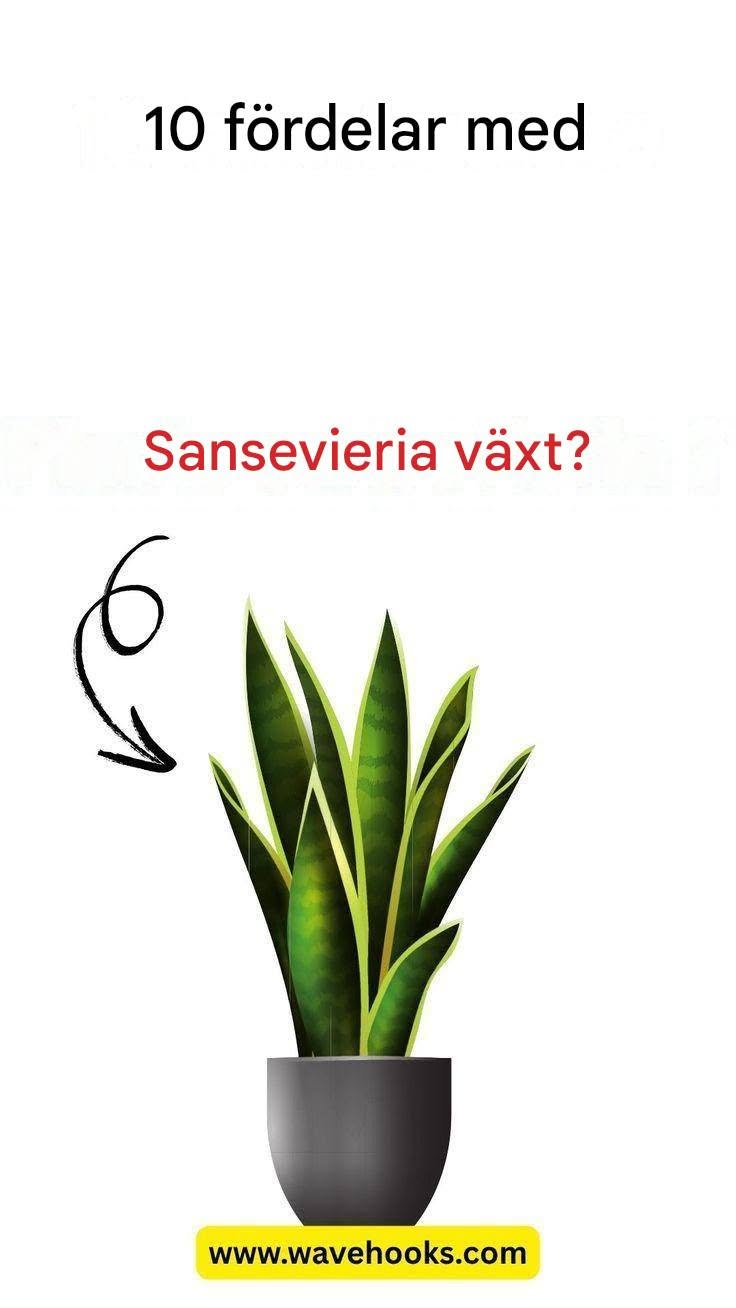 10 fördelar med en spole som kommer att förvåna dig!