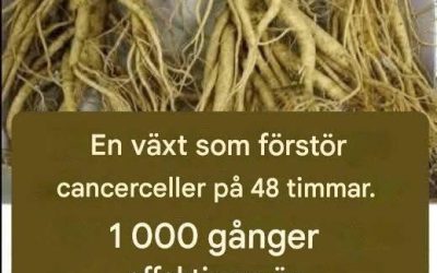 Denna rot dödar 98 % av mag-, tjocktarm-, bukspottkörtel- och andra cancerformer.