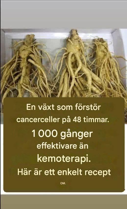 Denna rot dödar 98 % av mag-, tjocktarm-, bukspottkörtel- och andra cancerformer.
