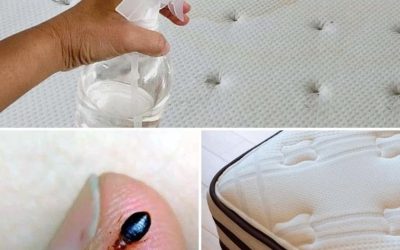 Gör din egen spray för att rengöra din madrass: En gör-det-själv-guide för en fräsch och hälsosam säng