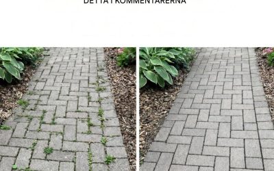 Hur man blir av med ogräs naturligt och permanent