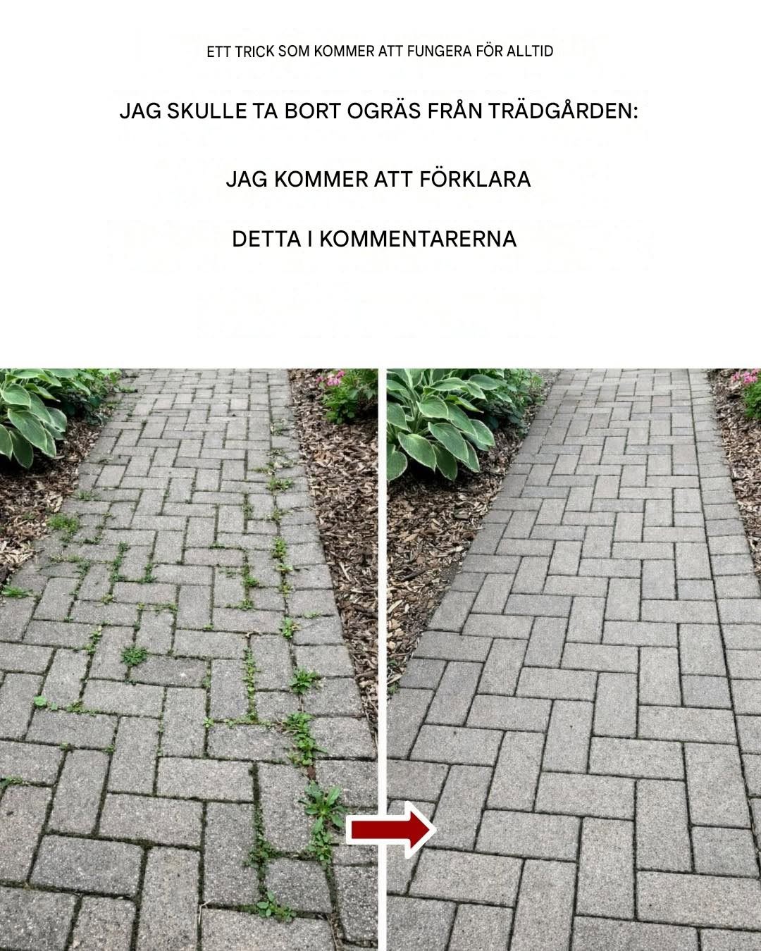 Hur man blir av med ogräs naturligt och permanent