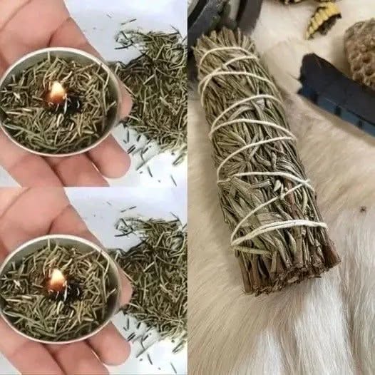 Upplev fördelarna med aromaterapi hemma med brinnande rosmarin