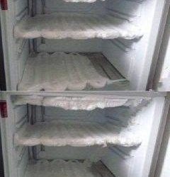 Knepet för att tina upp en frys på några minuter – utan någon ansträngning.