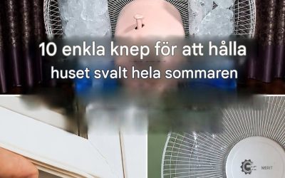 Så här håller du ditt hem svalt på sommaren: 10 tips och tricks