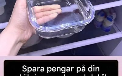 Maximera dina besparingar på din elräkning med ett enkelt knep för ditt kylskåp.