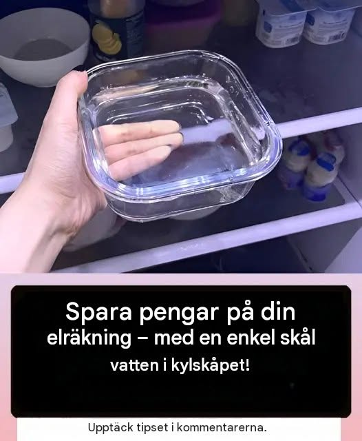Maximera dina besparingar på din elräkning med ett enkelt knep för ditt kylskåp.