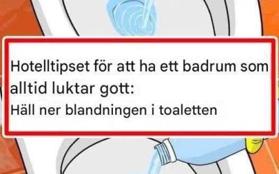 8 ENKLA TIPS FÖR ATT HÅLLA DITT BADRUMMET DOFTANDE FRÄSCHT HELA DAGEN