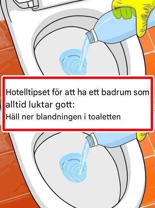 8 ENKLA TIPS FÖR ATT HÅLLA DITT BADRUMMET DOFTANDE FRÄSCHT HELA DAGEN