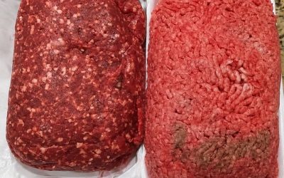 Butiksköpt kontra gårdsuppfött nötkött – vad är den verkliga skillnaden?