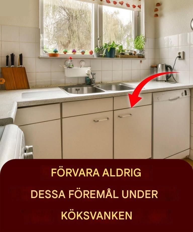 5 saker du aldrig bör lägga under diskbänken i köket