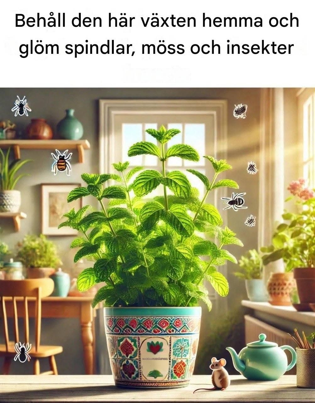 Så bra information! Pepparmynta och naturligt skadedjursbekämpande: Vad du verkligen borde veta