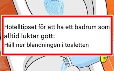 8 ENKLA TIPS FÖR ATT HÅLLA DITT BADRUMMET DOFTANDE FRÄSCHT HELA DAGEN