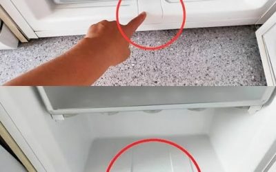 Frysens hemlighet avslöjad: Använd den var tredje månad för fantastiska resultat