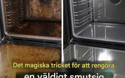 Du har rengjort din ugn på fel sätt hela ditt liv. Den är så blank!