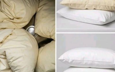 Så här tvättar du gulnade kuddar: 3 tips för att hålla dem vita och nya, läs första inlägget.