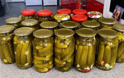 Zapamiętaj tio przepis przez cały sezon: Najlepszy przepis na ogórki kiszone bez zalewy, nie szukaj dalej!