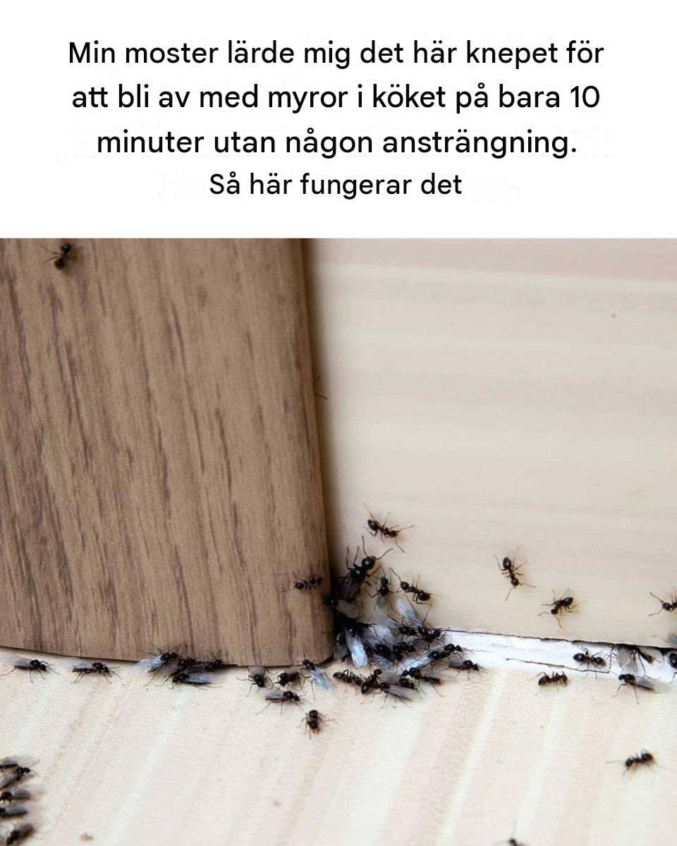 Har provat många saker förut, men det här hacket fungerar för mig!