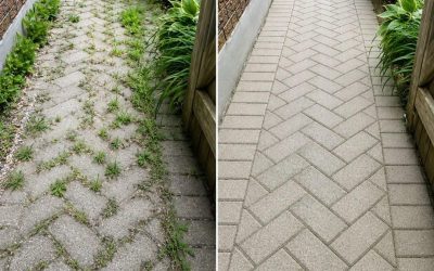 Gräset mellan stenplattorna är inte längre ett problem: Min moster föreslog ett enkelt hushållsknep för att snabbt ta bort ogräset!