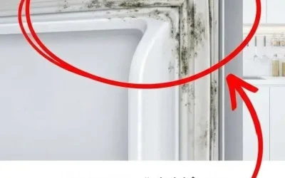 Så här rengör du ditt kylskåps lufttäta försegling på 5 minuter.