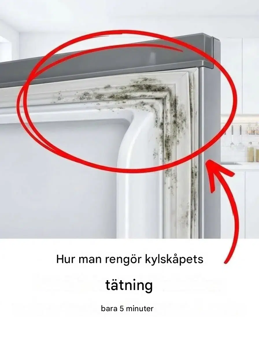 Så här rengör du ditt kylskåps lufttäta försegling på 5 minuter.