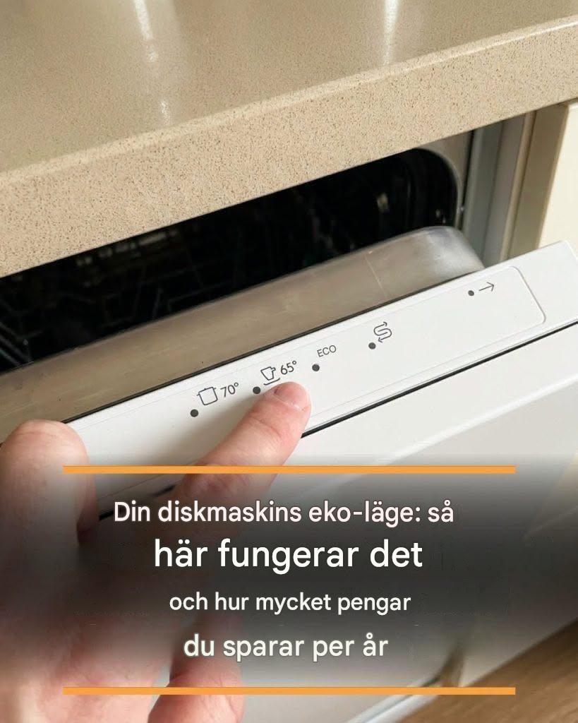 Eko-läge på din diskmaskin: så här fungerar det och hur mycket pengar du sparar per år