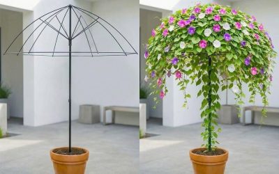 Ha trasformato un ombrello rotto en un paradise flowers: ora tutti ne vogliono uno.