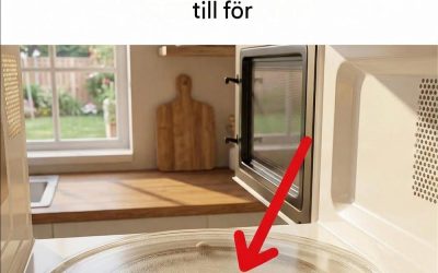 Jag lärde mig något överraskande idag — den där “lilla ringen” i din mikrovågsugn spelar faktiskt roll.