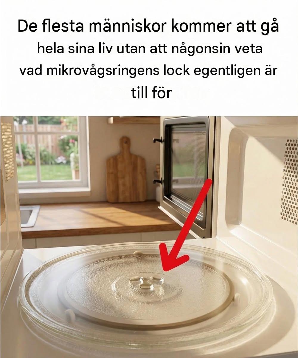 Jag lärde mig något överraskande idag — den där “lilla ringen” i din mikrovågsugn spelar faktiskt roll.