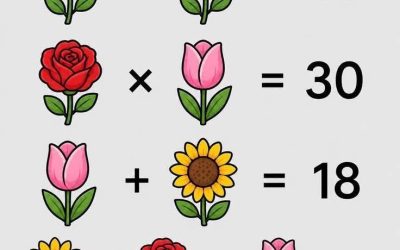 Dagens utmaning: Vem hittar rätt svar?