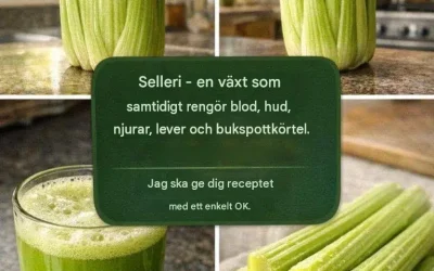 Upptäck en växt som renar blodet, regenererar huden och djuprengör njurar, lever och bukspottkörtel efter bara en dos.