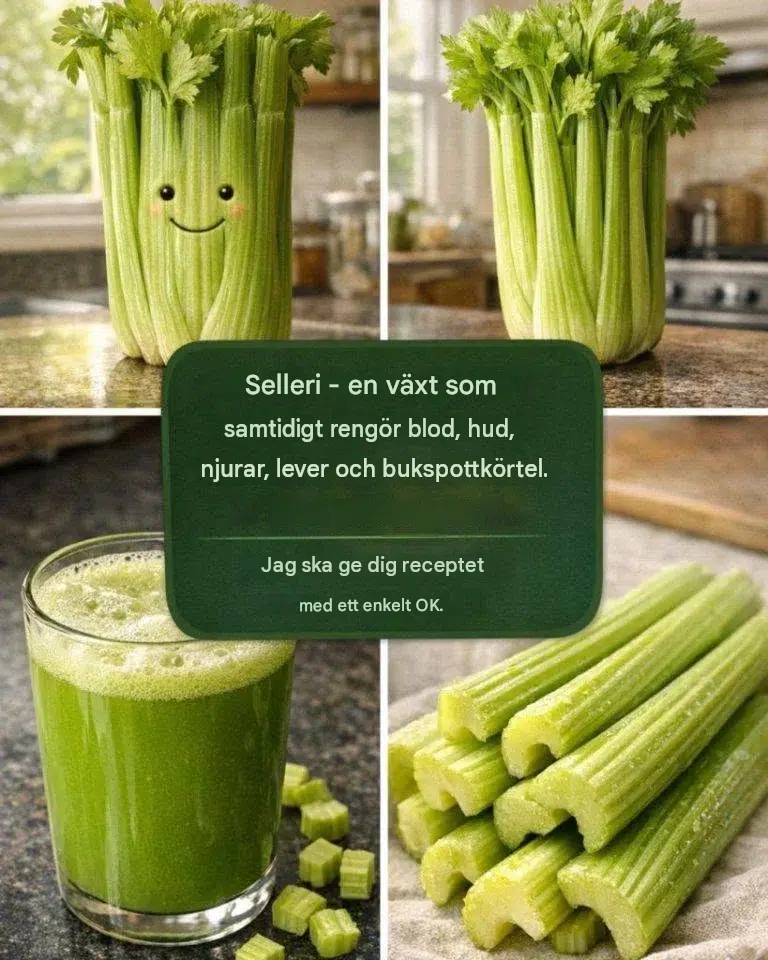 Upptäck en växt som renar blodet, regenererar huden och djuprengör njurar, lever och bukspottkörtel efter bara en dos.