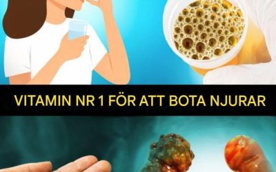 Utforska fördelarna med ett viktigt vitamin för att naturligt stödja och bibehålla din njurhälsa