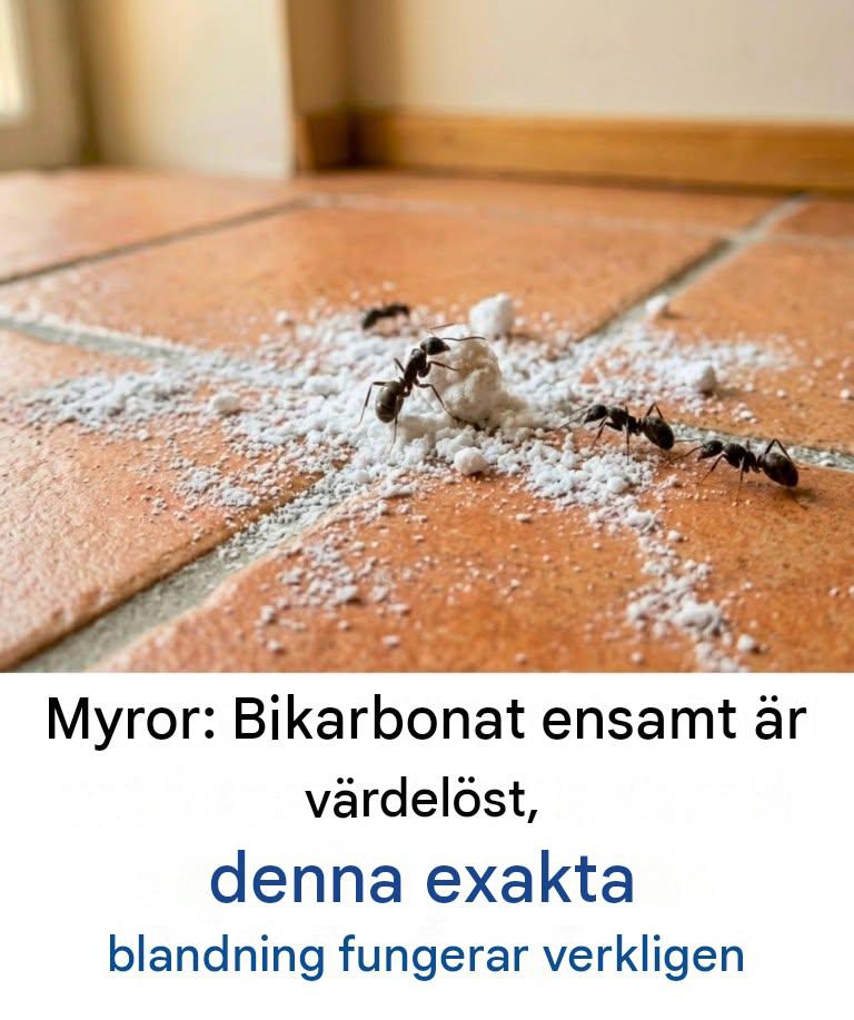 Myror: Bikarbonat ensamt är värdelöst; det är bara den här specifika blandningen som verkligen fungerar.