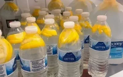 Ingefäravatten: den hälsosammaste drycken för att bränna fett från mage, nacke, armar, rygg och lår!