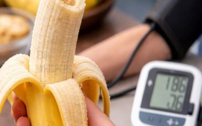 mestadels korrekt, men det överdriver bananernas effekt på blodtrycket.