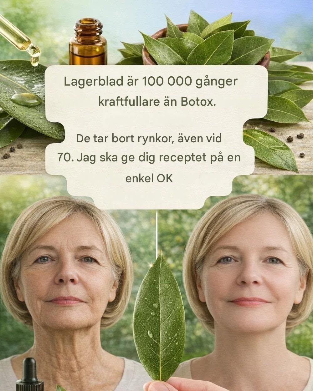 Lagerblad är 100 000 gånger starkare än Botox. De tar bort rynkor, även vid 70 års ålder. Lämna ett “OK” för att se receptet i den första kommentaren.