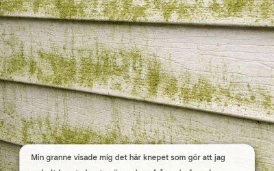 Min granne lärde mig det här knepet som enkelt tar bort gröna alger från min fasad. Så här fungerar det.